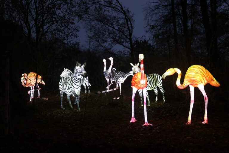 Während des „Magischen Weihnachtszaubers“ im Zoo Osnabrück flankieren die leuchtenden Tierfiguren der „Zoo-Lights“ die Wege. / Foto: Zoo Osnabrück (Hanna Räckers)