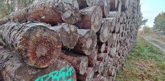 Holzindustrie fürchtet „restriktive Nutzungsverbote“