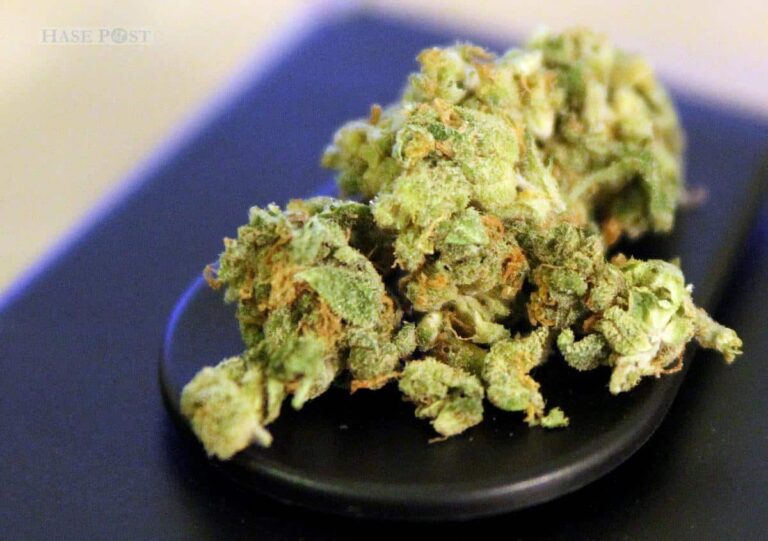 Lauterbach verliert Gelder wegen verspätetem Cannabis-Gesetz