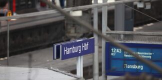 Umbau von Hamburger Hauptbahnhof startet 2028 – Milliardenkosten