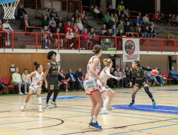 GiroLive-Panthers kämpfen sich ins DBBL-Pokal-Halbfinale / Foto: Dieter Reinhard