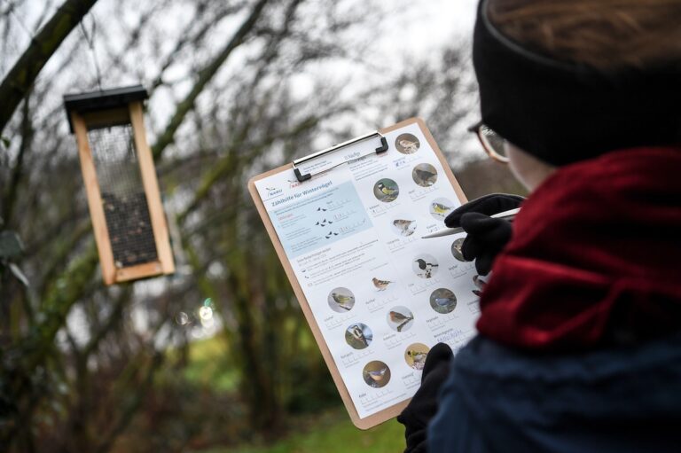 Vogelzählung zur "Stunde der Wintervögel" / Foto: NABU