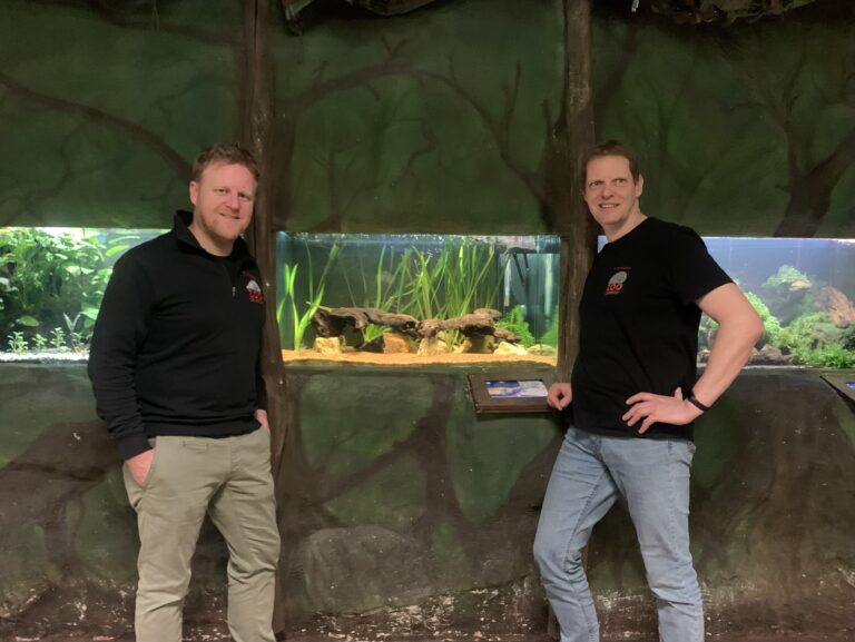Zoologischer Leiter Tobias Klumpe (links) und Stefan Bramkamp, Revierleiter Tetra-Aquarium, vor dem Becken der Andersons Querzahnmolche im Osnabrücker Zoo / Foto: Emrich