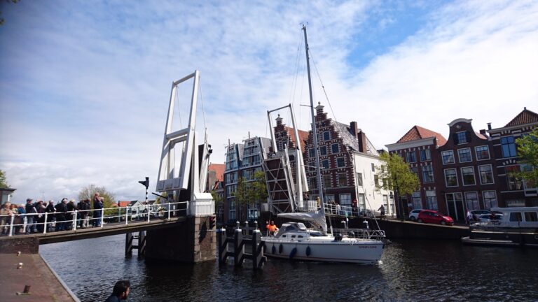 Haarlem_JensKoopmann. / Foto: © Stadt Osnabrück, Jens Koopmann in Landkreis Osnabrück (Region)