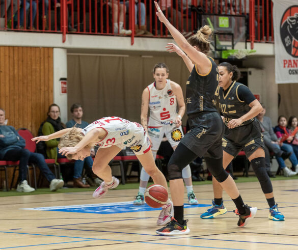 GiroLive-Panthers gewinnen mit 66:61 gegen die Royals aus Saarlouis. / Foto: Dieter Reinhard