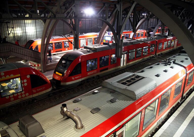 Nahverkehrszüge