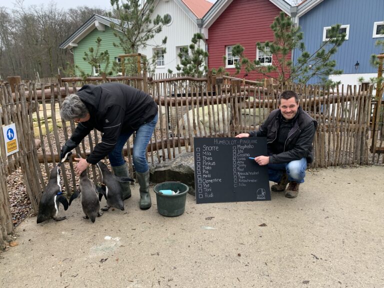 (von links) Kerstin Bischoff (Zootierpflegerin) und Andreas Wulftange (Zoologische Leitung) während der Inventur der Humboldtpinguine / Foto: Emrich