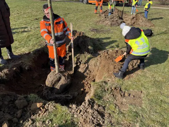 Betreuung durch Mitarbeitende der Osnabrücker Service Betriebe. / Foto: Hirsch