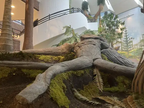 Karbonwald. / Foto: Hirsch