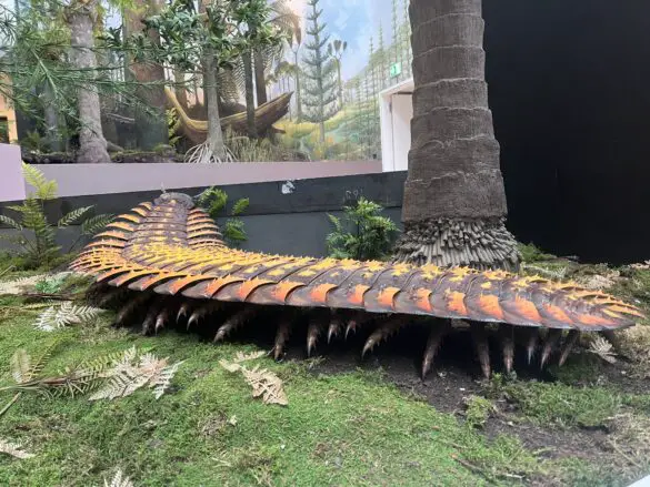 Karbonwald. / Foto: Hirsch