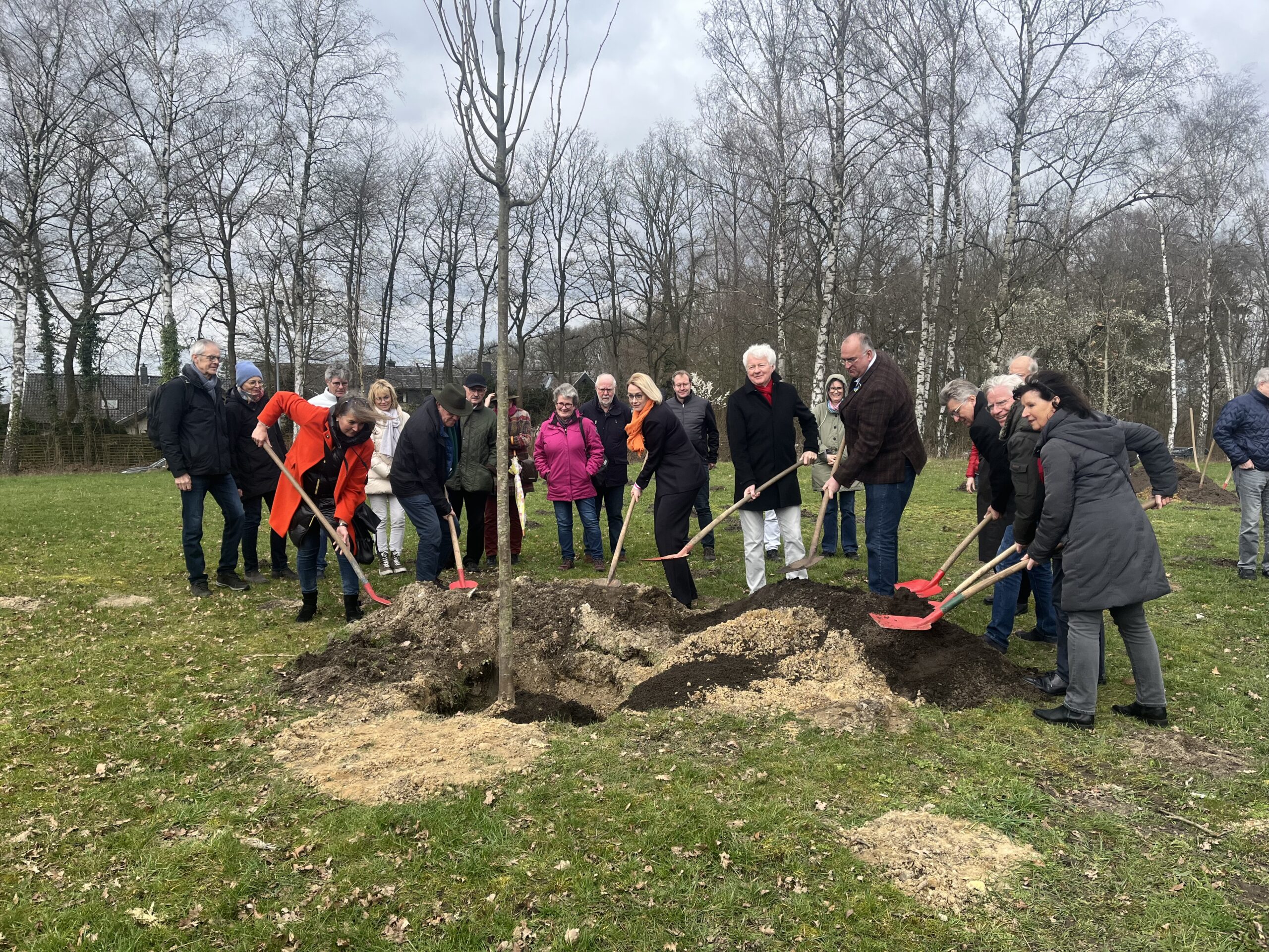 15 neue Bäume für die Dodesheide: Alle Spendenden packen mit an. / Foto: Hirsch