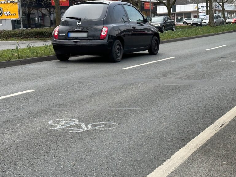 Fahrrad-Piktogramm auf der Pagenstecherstraße. / Foto: Pohlmann