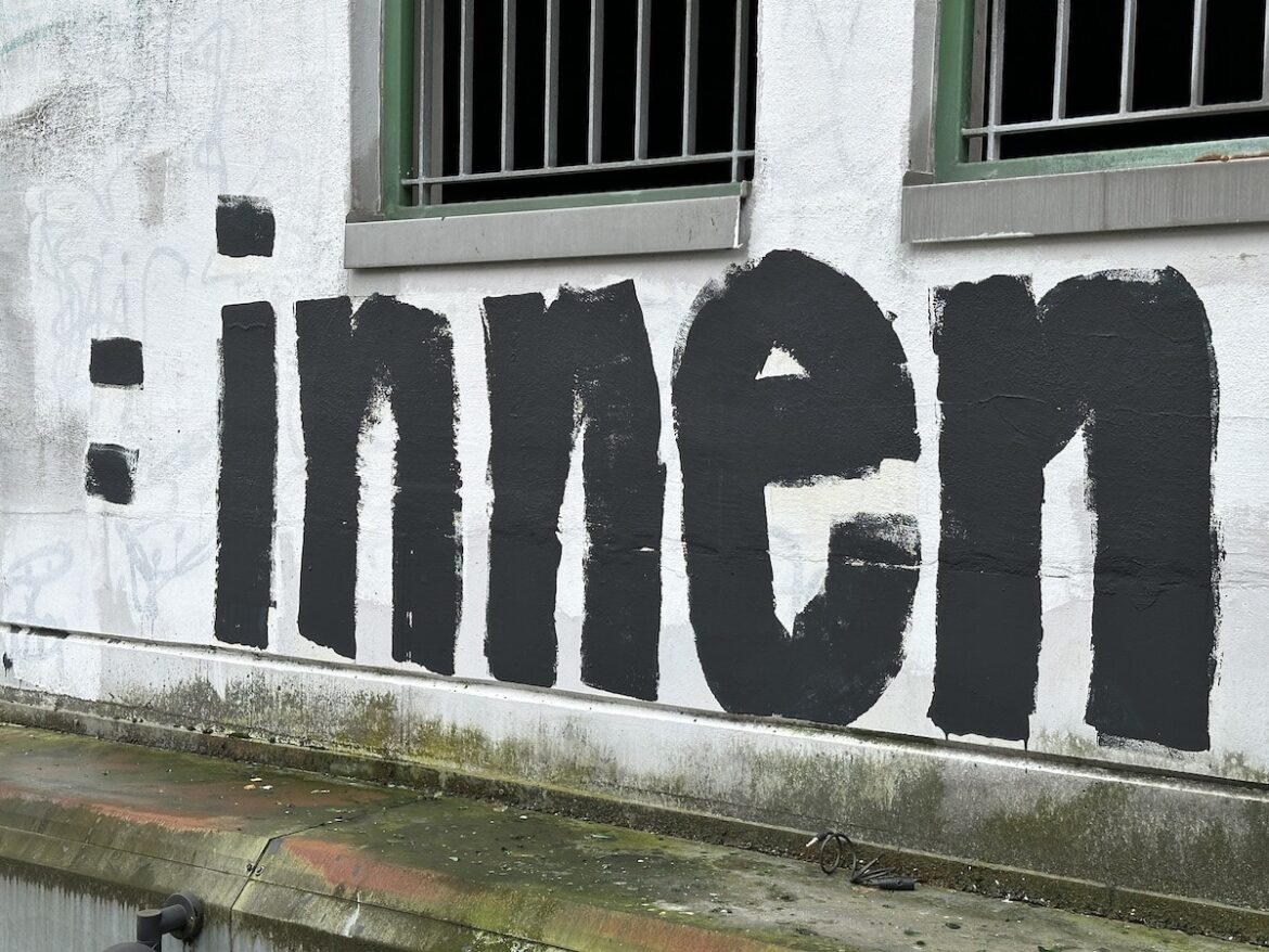 :innen