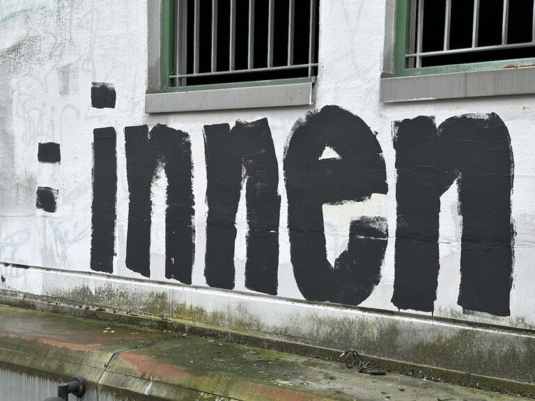 :innen