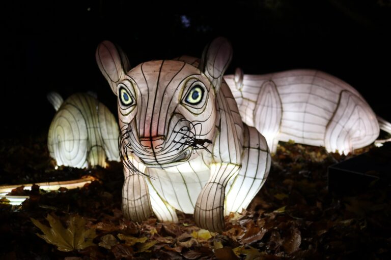 Vom 11. März bis 10. April beleuchten rund 120 bunte Tierfiguren die Wege des Zoo Osnabrück und ermöglichen Besuchenden einen Spaziergang nach den regulären Öffnungszeiten. / Foto: Zoo Osnabrück