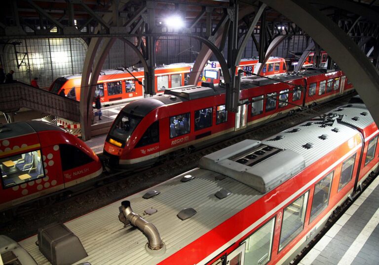 Nahverkehrszüge der Deutschen Bahn