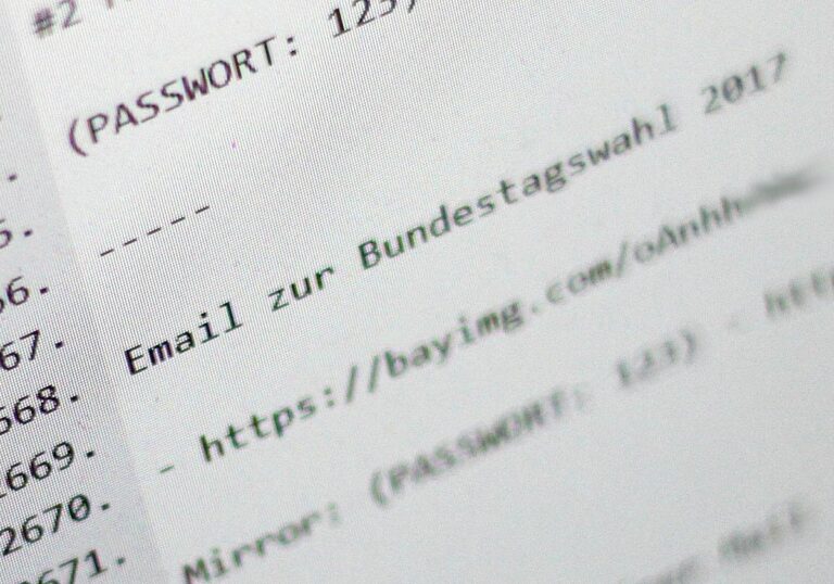 Politiker alarmiert über geheimes Kreml-Programm für Cyberangriffe