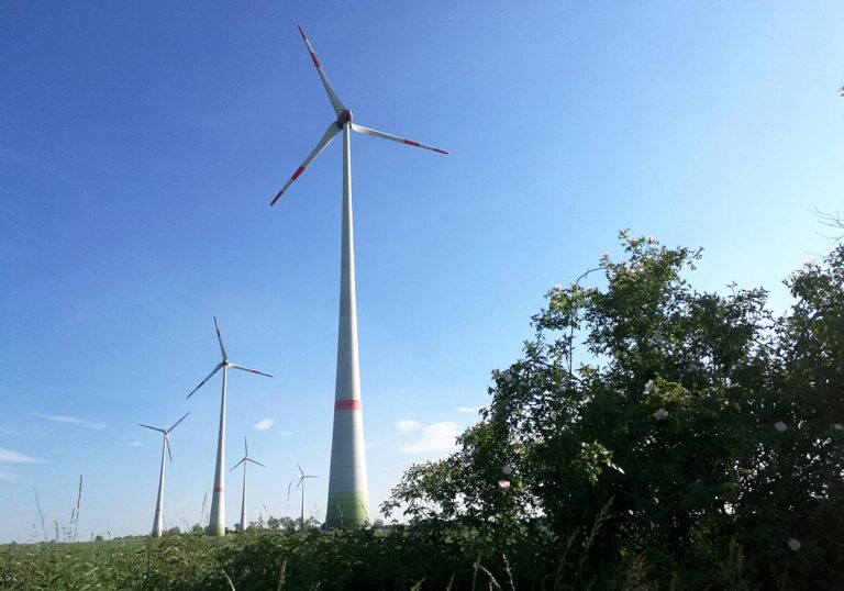Brandenburg verlangt grundlegende Änderungen in Energiepolitik