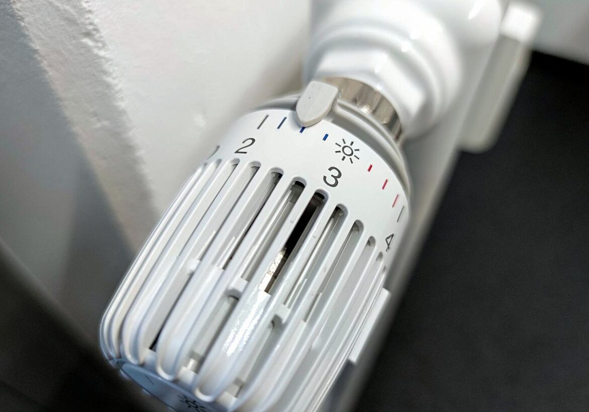 Grüne verteidigen Heizungspläne