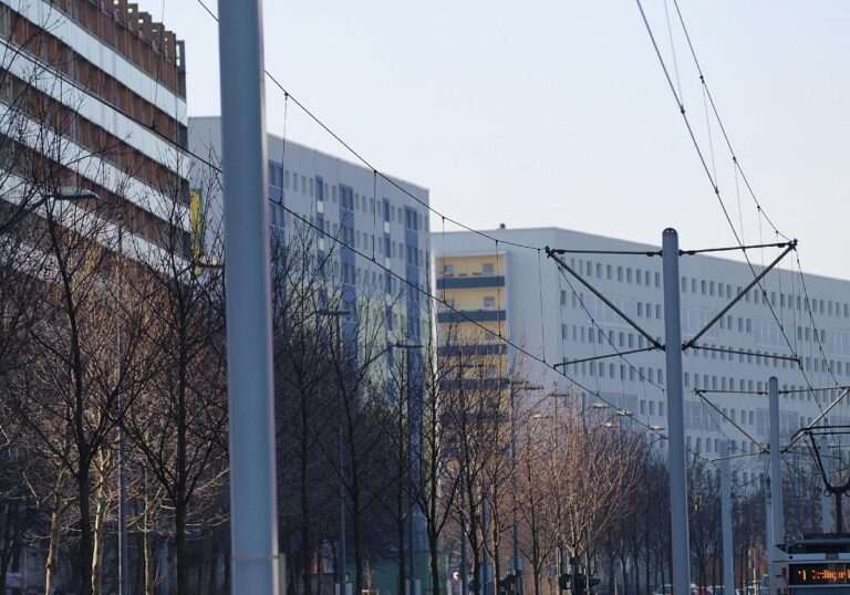 IG Bau drängt Staat zum Einstieg bei Immobilienkonzernen