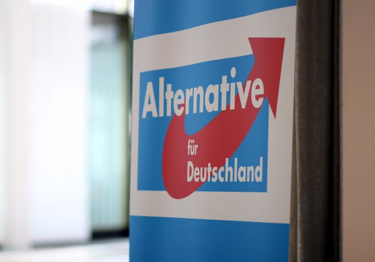 AfD rechtfertigt Verwendung von KI-generierten Bildern