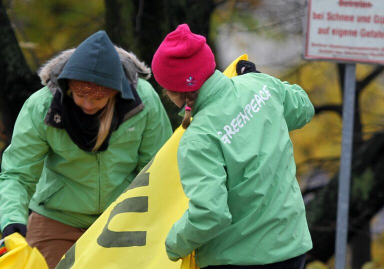 Aktivisten von Greenpeace