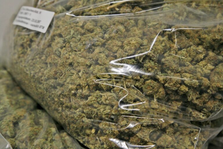 Marihuana im Wert von 10.000 Euro sichergestellt. / Foto: Hauptzollamt Osnabrück