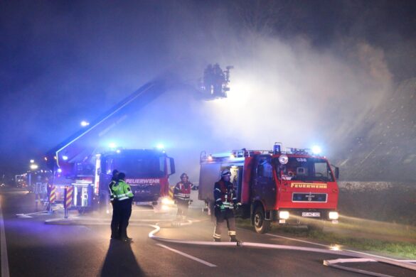 Stall mit Tieren stand in Alfhausen in Flammen. / Foto: Westermann