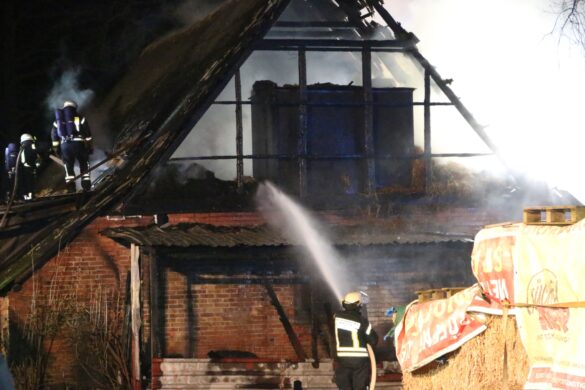 Stall mit Tieren in Flammen, Bundesstraße in Alfhausen gesperrt