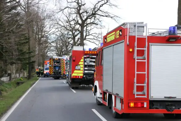 PKW kracht ungebremst vor Baum in Bissendorf, Fahrer schwer verletzt