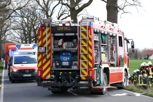 PKW kracht ungebremst vor Baum in Bissendorf, Fahrer schwer verletzt