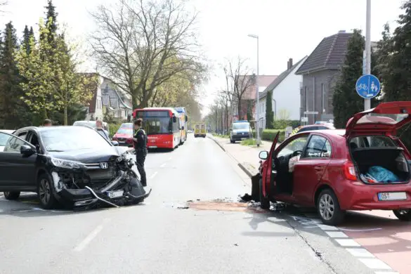 Frontalzusammenstoß – Zwei Personen und ein Hund verletzt Frontalzusammenstoß – Zwei Personen und ein Hund verletzt