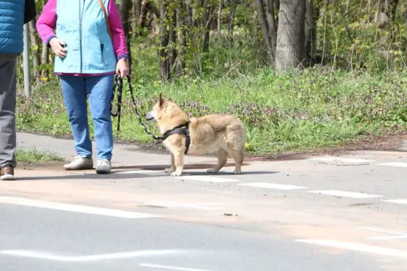 Wohnwagen und PKW kollidieren in Bad Laer, Auto kippt um