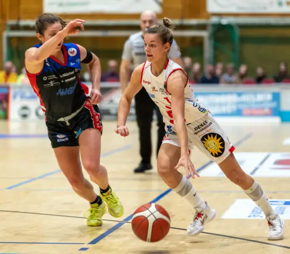 GiroLive-Panthers stehen im Halbfinale der Play-Off-Serie zur Deutschen Meisterschaft