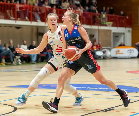 GiroLive-Panthers stehen im Halbfinale der Play-Off-Serie zur Deutschen Meisterschaft
