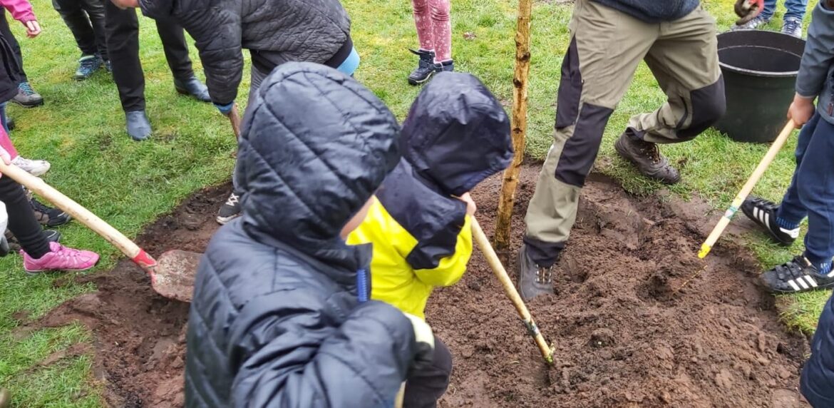 Schülerinnen und Schüler pflanzten in Bramsche einen Baum. / Foto: Biologische Station Haseniederung