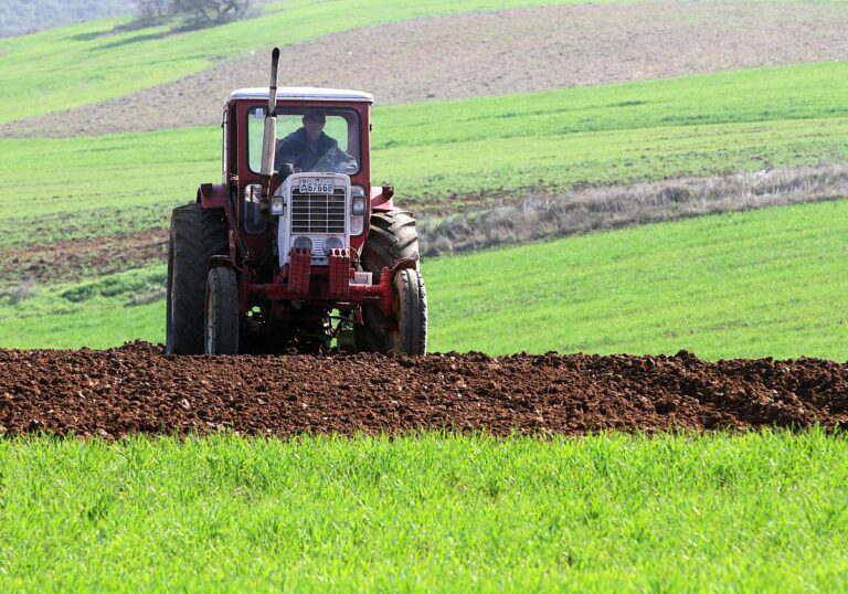 Erzeugerpreise landwirtschaftlicher Produkte gehen langsam zurück