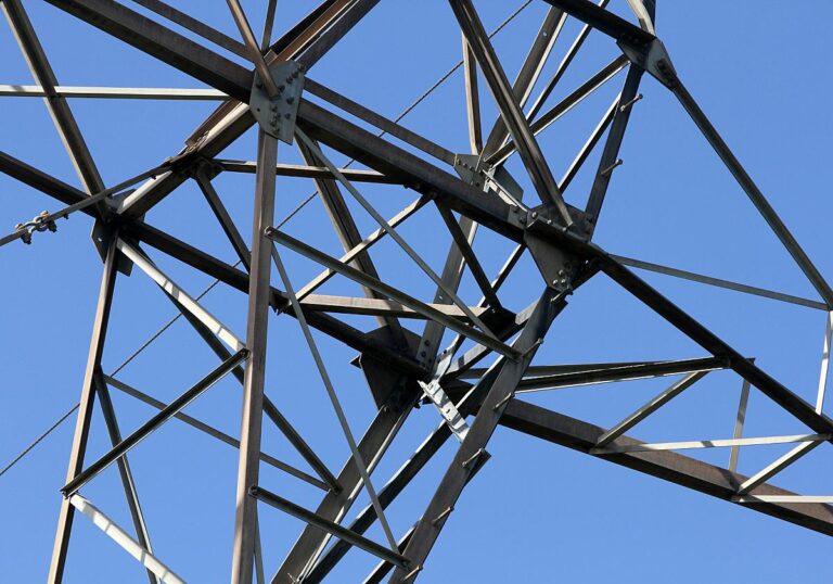 FDP will nach Atomausstieg auch auf Kernfusion setzen