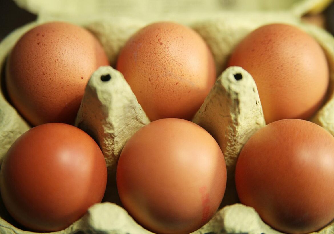 Nachfrage nach Eiern vor Ostern trotz Inflation hoch