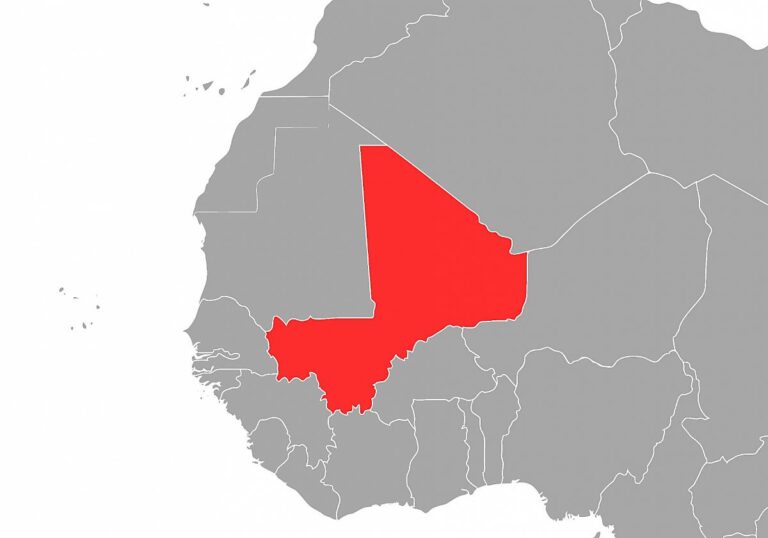 Bundesregierung will nach Mali-Abzug im Sahel “engagiert bleiben”