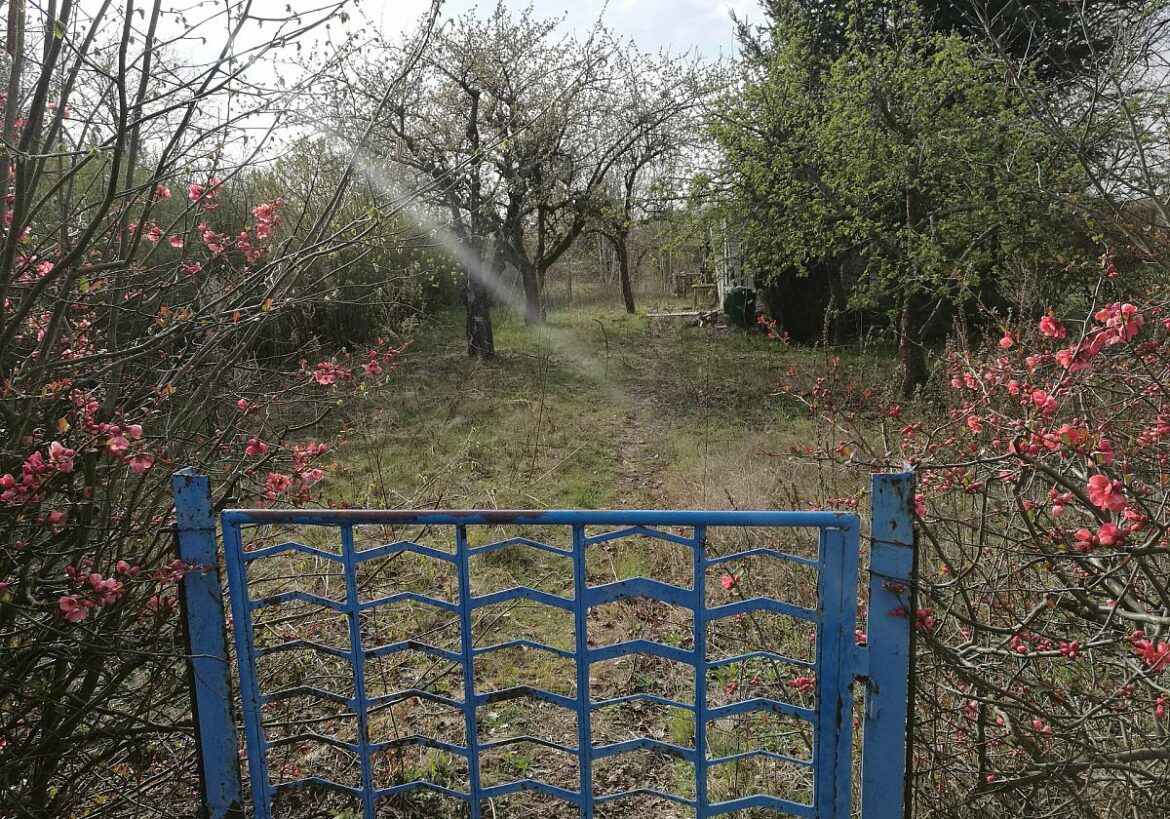 Nachfrage nach Kleingärten in Berlin treibt Preise in die Höhe