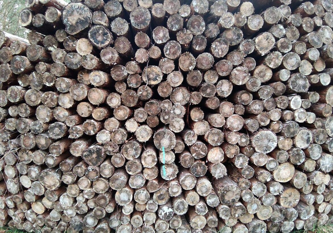 SPD-Fraktion gegen Verbot für Holz- und Pelletheizungen