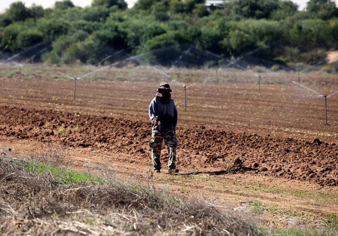 Linke fürchtet Einwanderung in prekäre Arbeitsverhältnisse