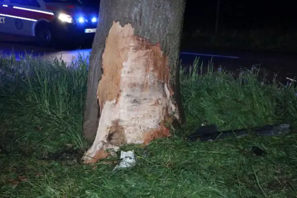PKW prallt gegen Bäume und kippt aufs Dach an B51 in Bohmte