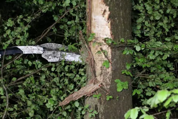 PKW prallt gegen Bäume und kippt aufs Dach an B51 in Bohmte