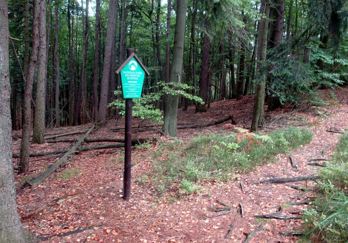 Sachsen und Brandenburg fordern vom Bund Grenzschutz