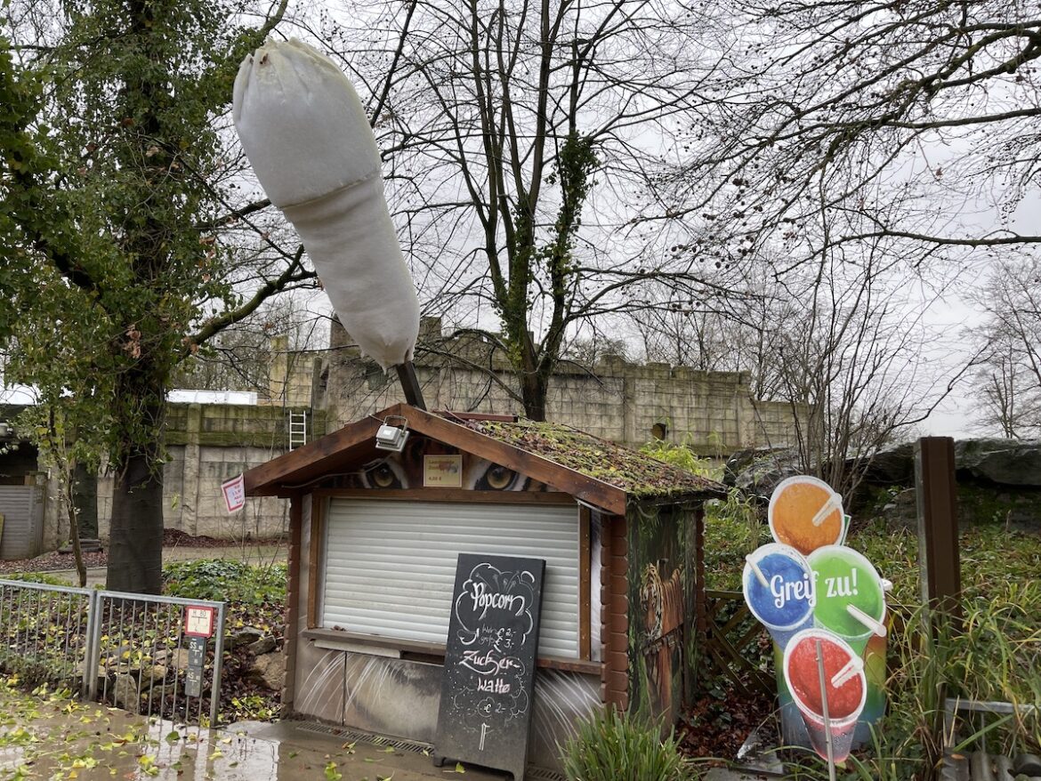 Zoo Osnabrück im Winter. / Archivbild: Pohlmann