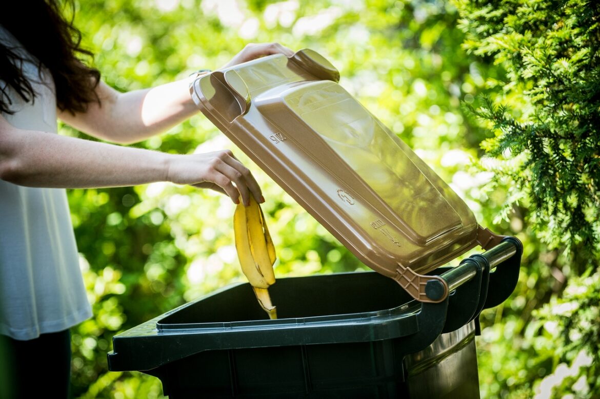 In den warmen Sommermonaten können einige Tipps zum richtigen Umgang mit den Bioabfällen beachtet werden. / Foto: A.W. Sobott, AWIGO