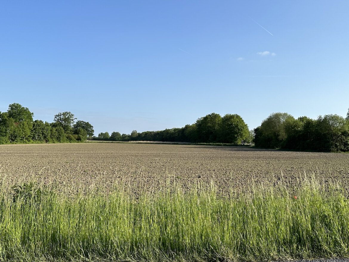 Grüner Finger am Westerberg