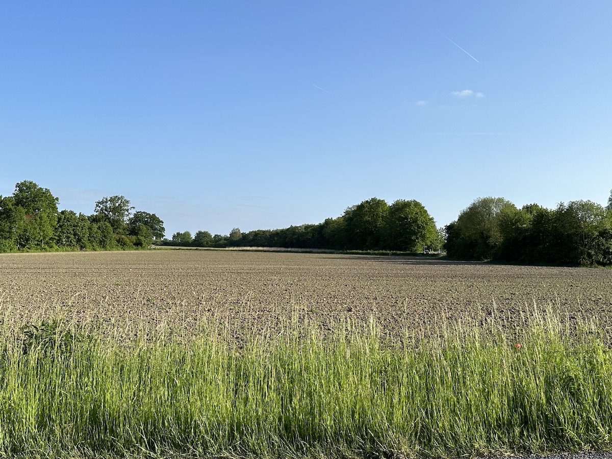 Grüner Finger am Westerberg